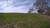 The field cam, May 6, 2024 at 8:22am