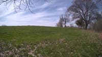 The field cam, May 6, 2024 at 8:24am