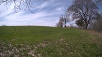 The field cam, May 6, 2024 at 8:24am