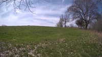 The field cam, May 6, 2024 at 8:43am