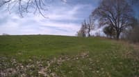 The field cam, May 6, 2024 at 8:47am