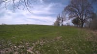 The field cam, May 6, 2024 at 8:48am