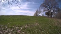 The field cam, May 6, 2024 at 8:51am