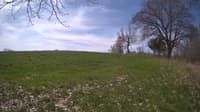 The field cam, May 6, 2024 at 8:52am