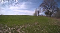 The field cam, May 6, 2024 at 8:52am