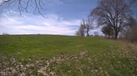 The field cam, May 6, 2024 at 9:11am