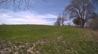 The field cam, May 6, 2024 at 9:15am
