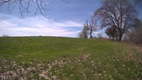 The field cam, May 6, 2024 at 9:15am