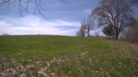 The field cam, May 6, 2024 at 9:19am