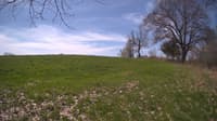 The field cam, May 6, 2024 at 9:20am