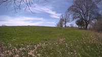 The field cam, May 6, 2024 at 9:35am