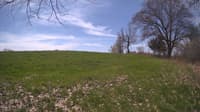 The field cam, May 6, 2024 at 9:40am