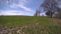 The field cam, May 6, 2024 at 9:41am