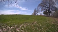 The field cam, May 6, 2024 at 9:45am