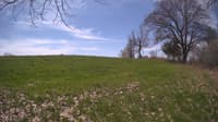 The field cam, May 6, 2024 at 9:46am