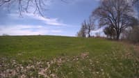 The field cam, May 6, 2024 at 9:47am