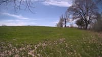 The field cam, May 6, 2024 at 10:00am