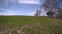 The field cam, May 6, 2024 at 10:05am