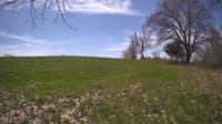 The field cam, May 6, 2024 at 10:07am