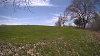 The field cam, May 6, 2024 at 10:10am