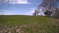 The field cam, May 6, 2024 at 10:11am