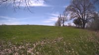 The field cam, May 6, 2024 at 10:12am