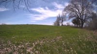 The field cam, May 6, 2024 at 10:29am