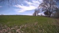 The field cam, May 6, 2024 at 10:33am