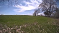 The field cam, May 6, 2024 at 10:34am
