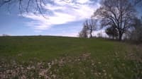 The field cam, May 6, 2024 at 10:39am
