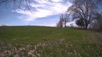 The field cam, May 6, 2024 at 10:40am