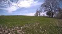 The field cam, May 6, 2024 at 10:55am