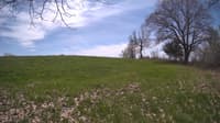 The field cam, May 6, 2024 at 11:00am