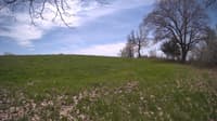 The field cam, May 6, 2024 at 11:01am