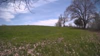 The field cam, May 6, 2024 at 11:06am