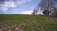 The field cam, May 6, 2024 at 11:06am