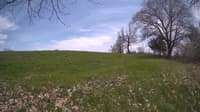 The field cam, May 6, 2024 at 11:20am