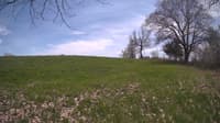 The field cam, May 6, 2024 at 11:25am