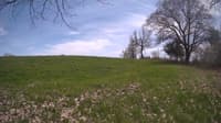 The field cam, May 6, 2024 at 11:30am