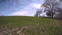 The field cam, May 6, 2024 at 11:31am