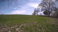 The field cam, May 6, 2024 at 11:31am