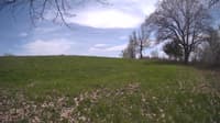 The field cam, May 6, 2024 at 11:45am