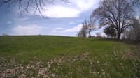 The field cam, May 6, 2024 at 11:49am