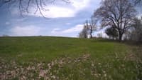 The field cam, May 6, 2024 at 11:51am