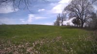 The field cam, May 6, 2024 at 12:11pm