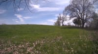 The field cam, May 6, 2024 at 12:21pm