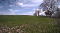 The field cam, May 6, 2024 at 12:23pm