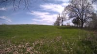 The field cam, May 6, 2024 at 12:40pm