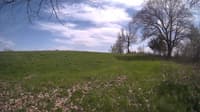 The field cam, May 6, 2024 at 12:49pm