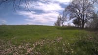 The field cam, May 6, 2024 at 12:50pm